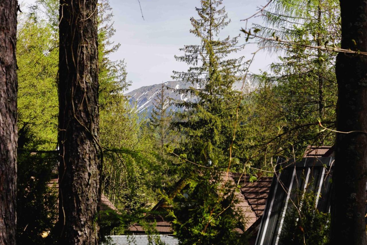 Apartamenty Chata Pod Reglami Zakopane Exteriér fotografie