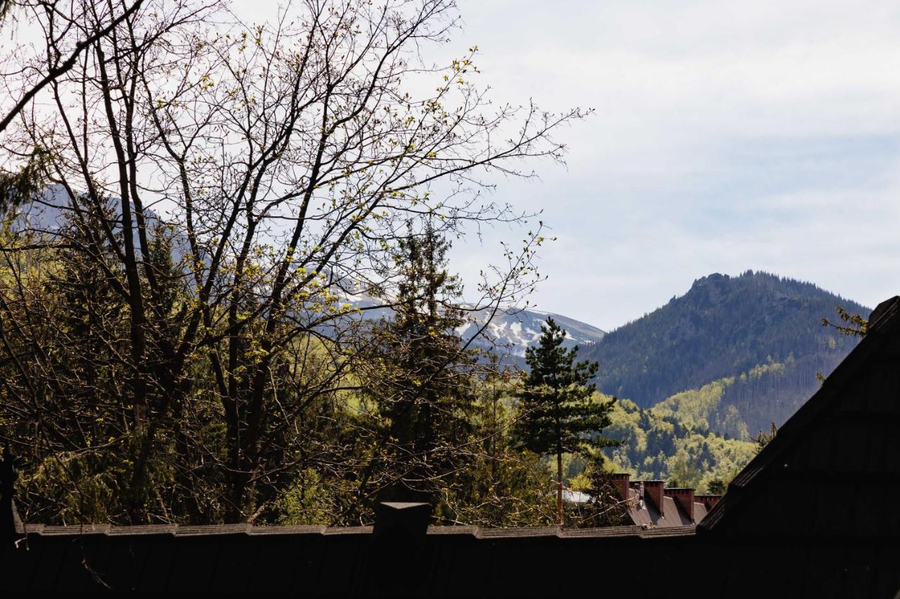 Apartamenty Chata Pod Reglami Zakopane Exteriér fotografie