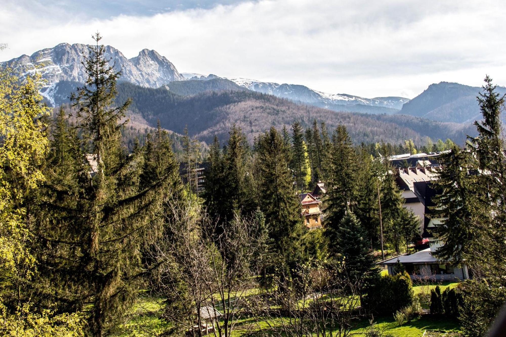 Apartamenty Chata Pod Reglami Zakopane Pokoj fotografie